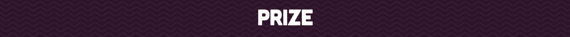 prize prize